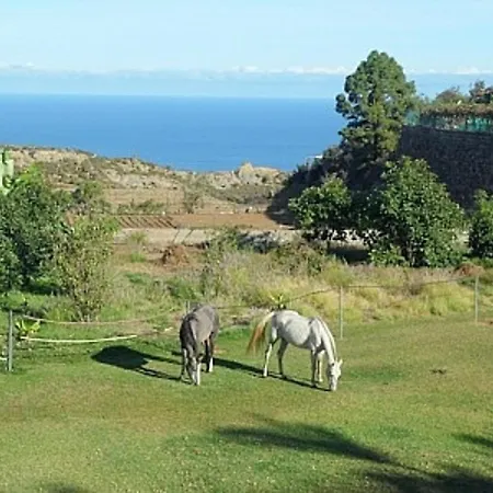 Vakantiehuis Finca Palmeras - #131085 La Guancha
